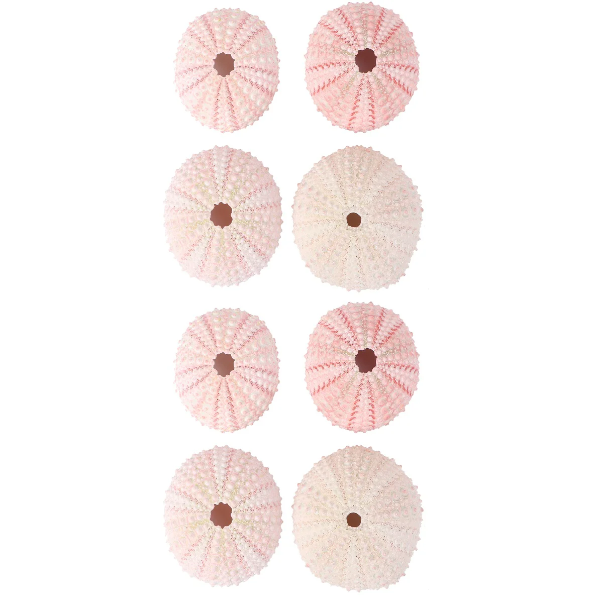 8 шт. контейнер для ананасов сделай сам | Ракушки и морские звезды