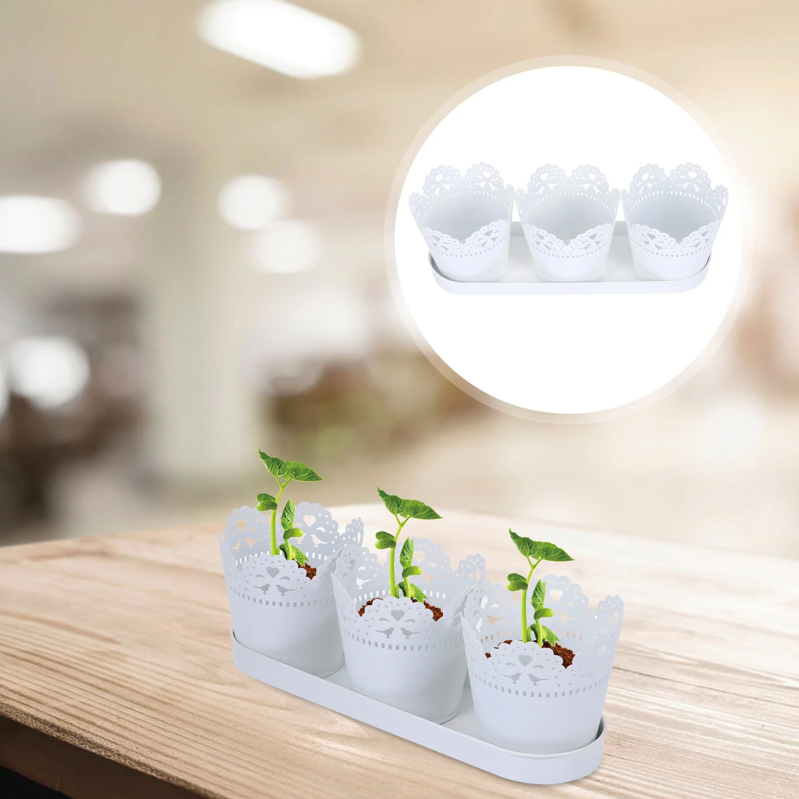 

Succulent Flower Pot Flowerpot Decor Container Decorative Retro Iron Adornment