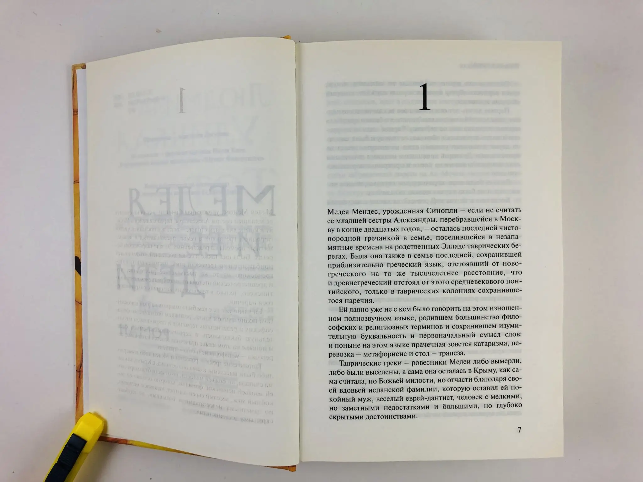 Медея и ее дети читать. Людмила улицкая медея и ее дети. Е. Медея и ее дети обложка. , медея и ее дети.