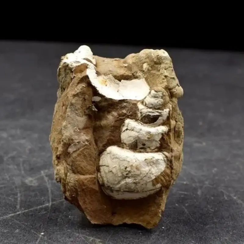 1Pcs A Natural Mineral Standard Strange Stone Original Stone Natural Ornamental Stone Line Stone Farmers From Pick From