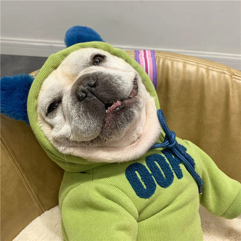 

Pet Clothes Winter Dog Funny Puppy Small Medium Large Dogs Cute Bulldog Fleece Hoodie Welsh Corgi Cotton Warm