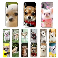 maiyaca cute pet chihuahua dog phone case for huawei y 6 9 7 5 8s prime 2019 2018 enjoy 7 plus