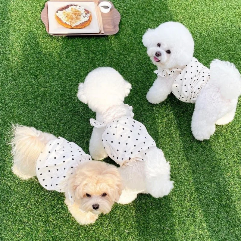 

Puppy Dogs Dresses Dog Clothes Sweet Small for Dogs Clothing Skirt Pet Outfits Cute Vest Summer Yorkies Dog Clothes Designer