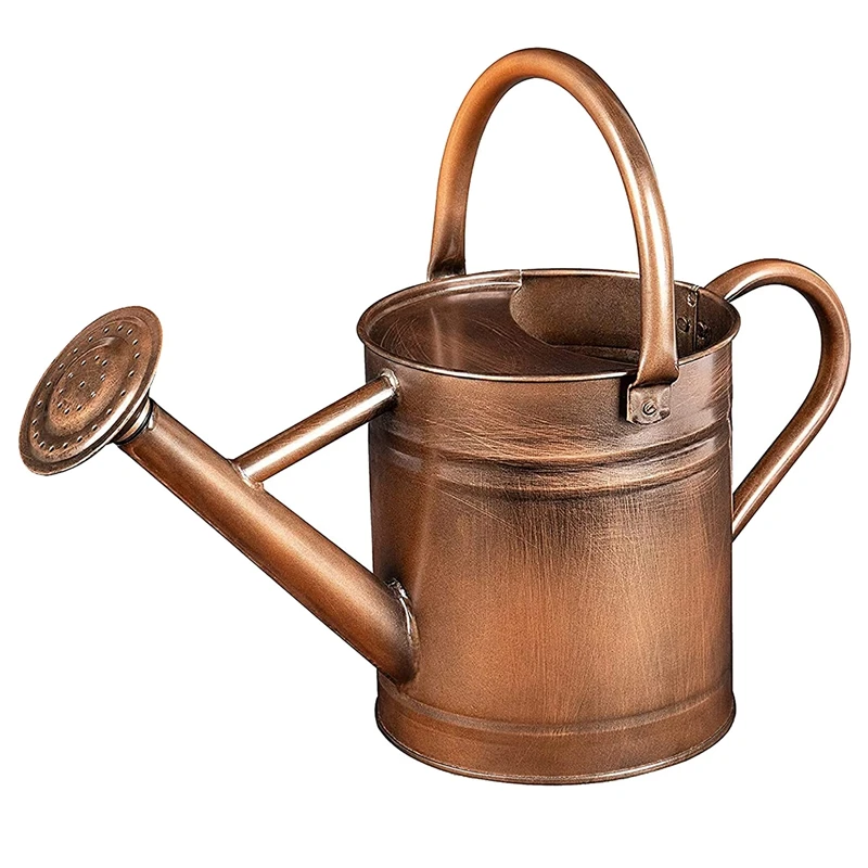 

Медная лейка-металлическая Лейка со съемным носиком, идеальная Лейка для комнатных и уличных растений