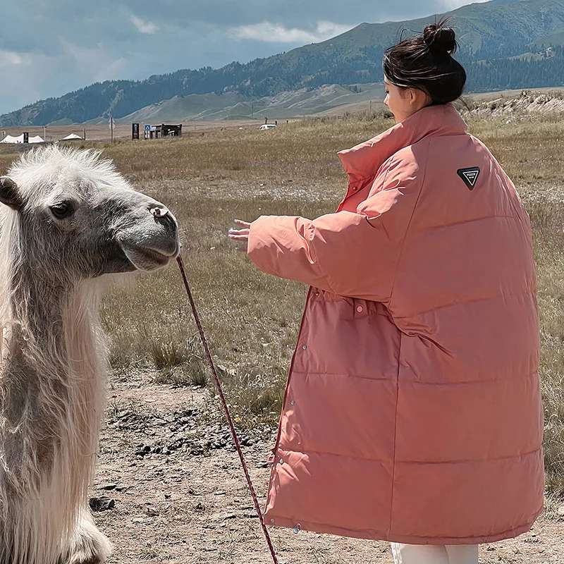 New Winter Coat for Women Parkas Jackets Long Cotton Padded Jacket Korean Fashion Warm Thick Women's Winter Jacket 2022