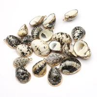 2 pcs natural shell pendants black snail pendant necklace accessories jewelry charms for jewelry making gift