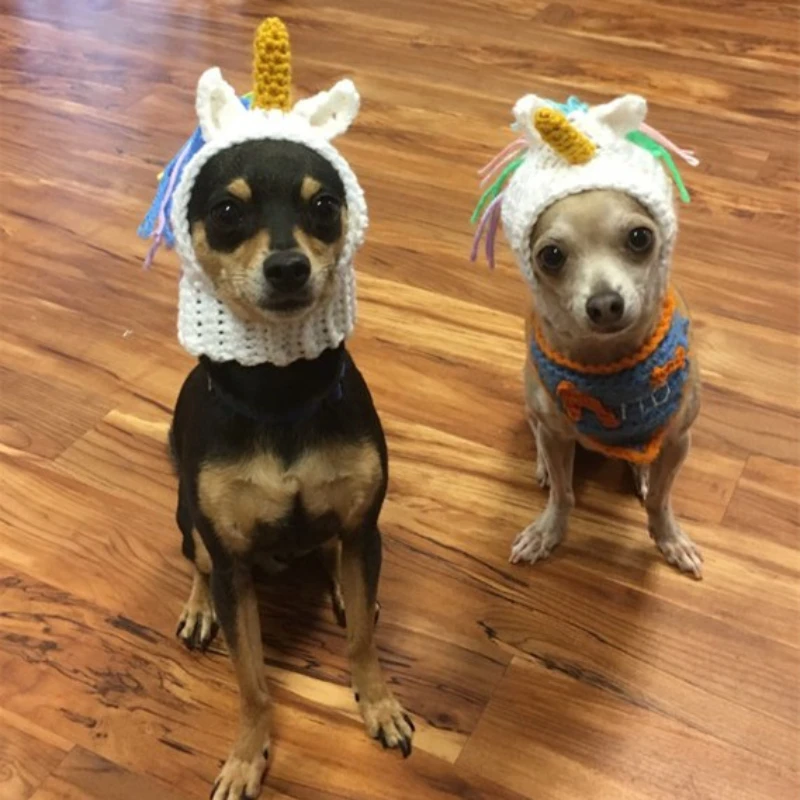 

Осенне-зимняя шерстяная шапка для домашних животных, шерстяная шапка ручной работы с единорогом, Тедди, медведь, золотые волосы, Рождествен...