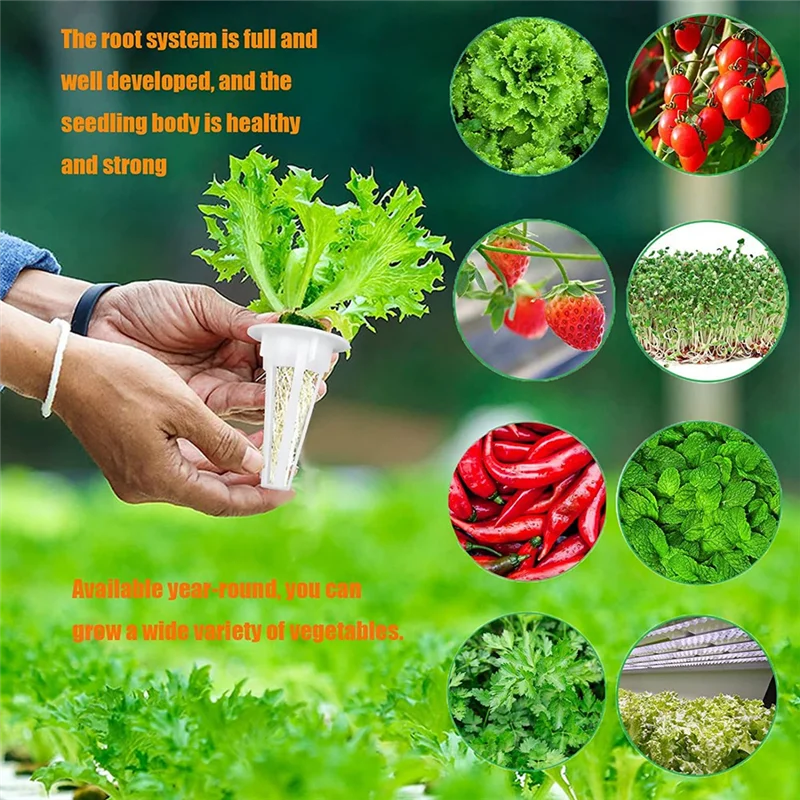 Набор подставок для семян 121 шт. подходит гидропонных систем выращивания