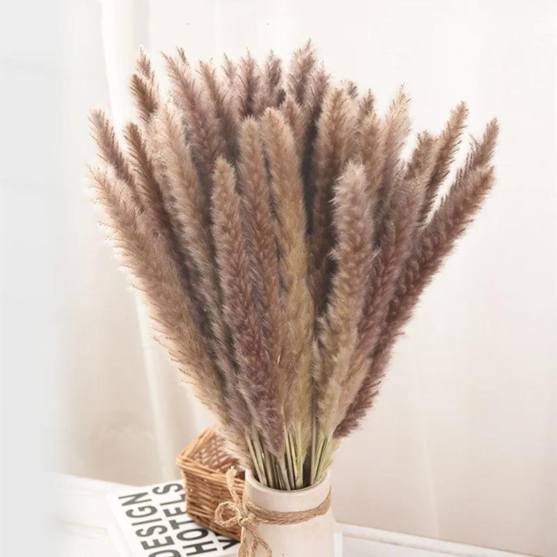 

Christmas Decoration 2023 Natural Dried Flower Head Primary Holor Small Pampas Grass Bouquet 10/20/50/100 Pcs /lot Free Shipping