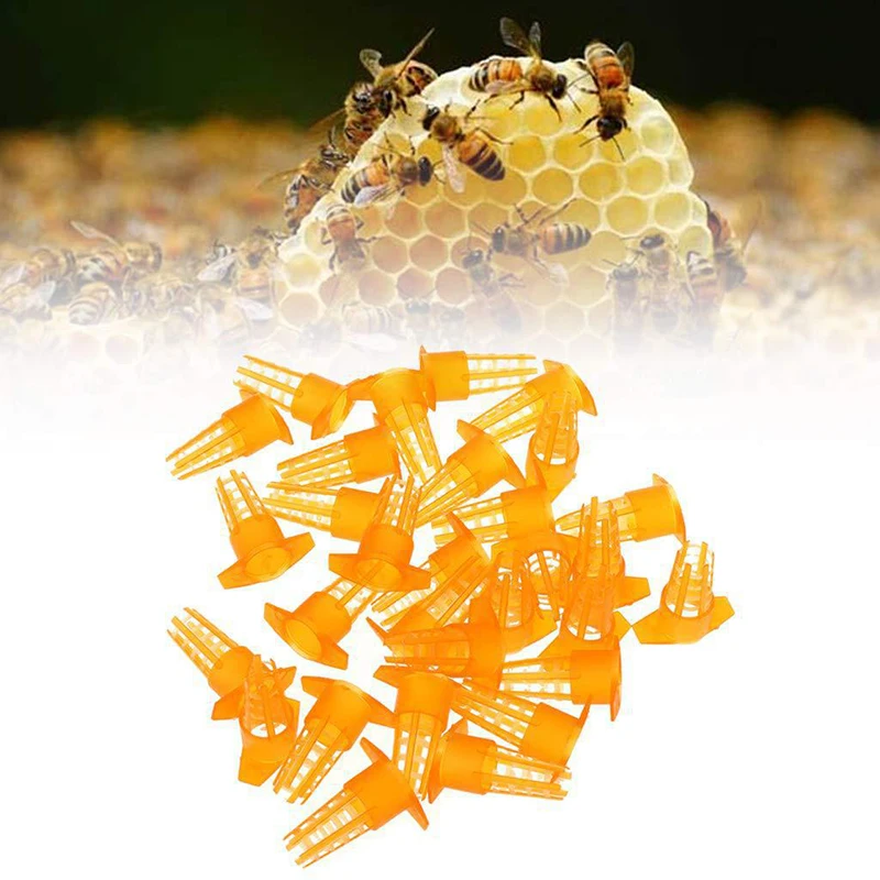 

50 Pcs Beekeeping Tools Yellow Plastic Queen Bee Cage Cover Cell Protector Cage Beekeeping Queen Bee Cage Bee Tools Equipment