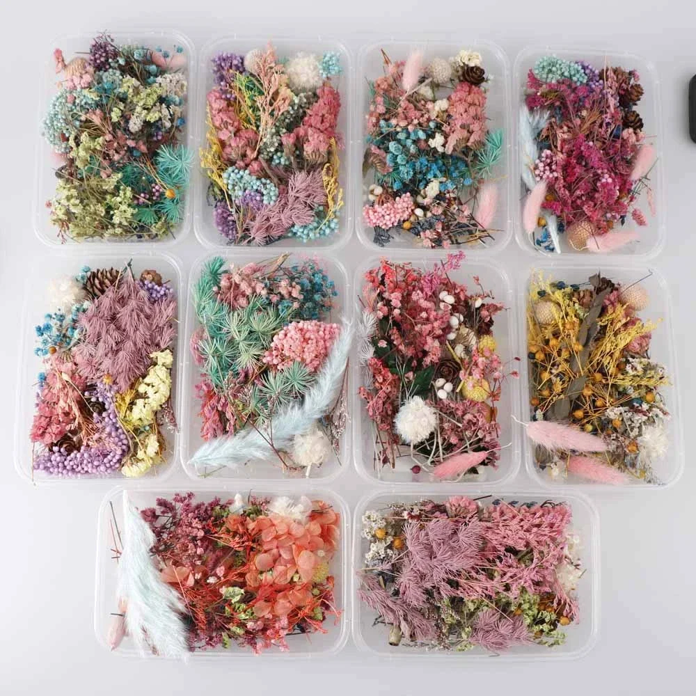 

Mix Dried Flowers for Resin Jewellery Dry Plants Pressed Flowers Making Craft Dried Flowers Box for DIY Silicone Mold