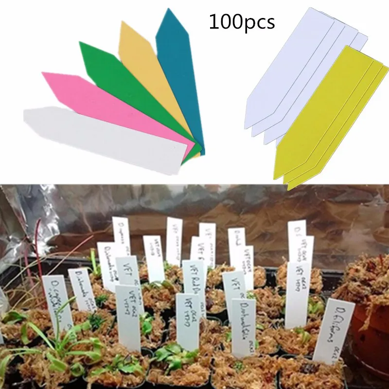 100 шт. многоразовые вставки для садовых растений | Дом и сад