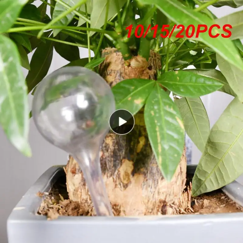 

10/15/20PCS Self Watering House/garden Water Houseplant Plant Pot Birdie Automatic Watering Device Bird Shape Transparent