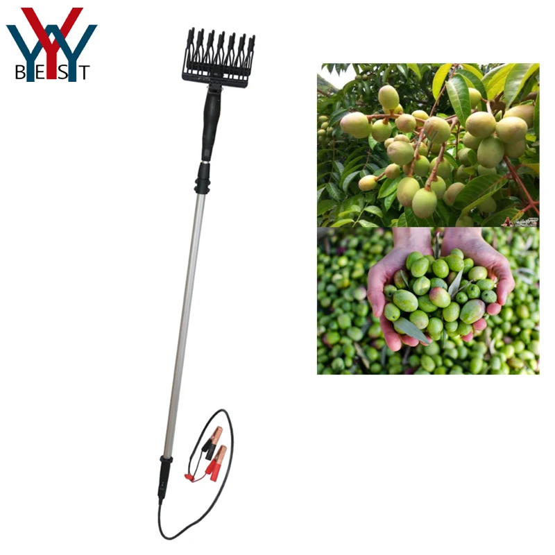 

12V Electric olive harvest Machine olive harvesting picking shaking beating machine Jujube shaker harvester picker comb machine