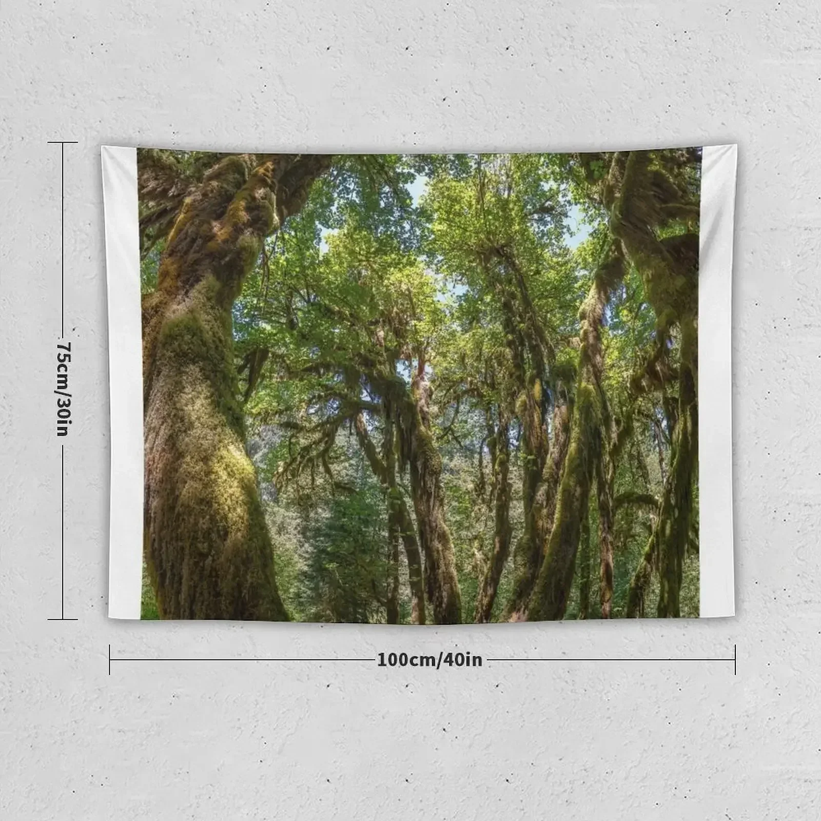 Hoh тропический гобелен украшение комнаты в Корейском стиле милый Декор для