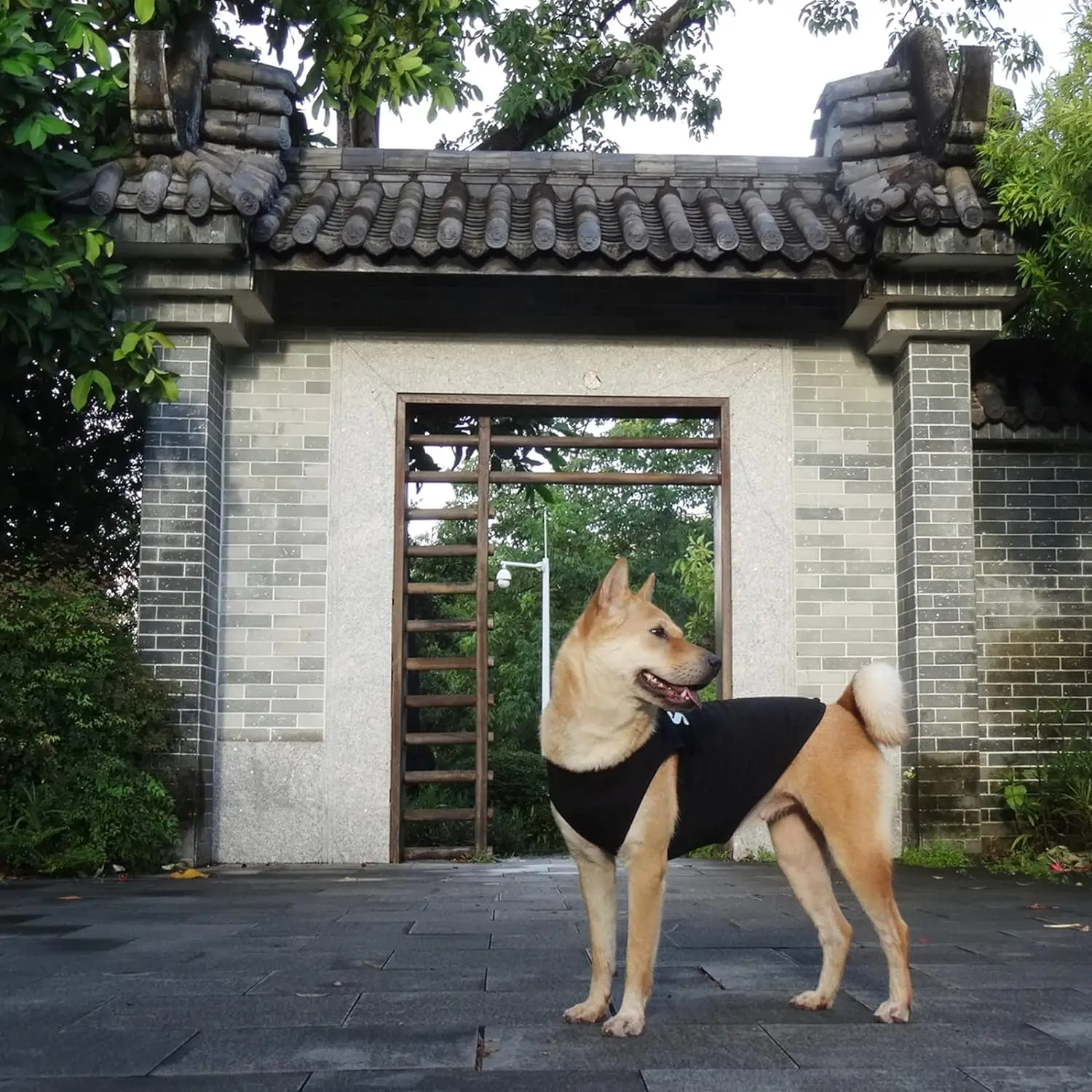 Рубашка безопасности для собак костюм защиты щенка хлопковая футболка летняя