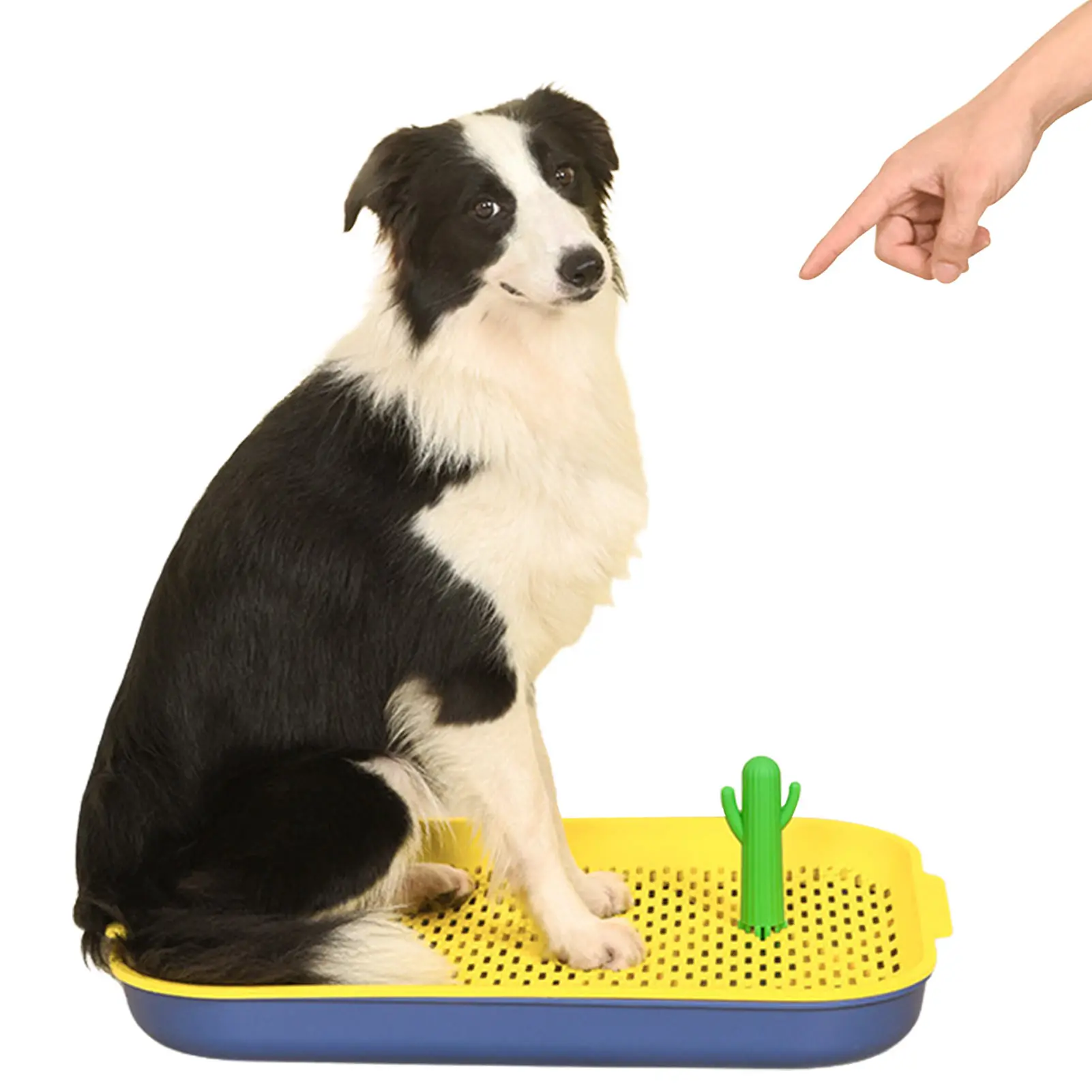 

Training Pad Holder Floor Protection Indoor Dog Potty Tray With Protection Wall Every Side For No Spill Accident Portable And