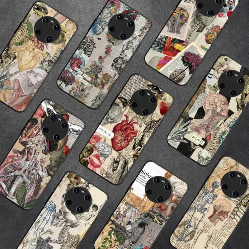 

Medical Human Anatomy Phone Case For Huawei Y5 Y62019 Y52018 Y92019 funda case for 9prime2019