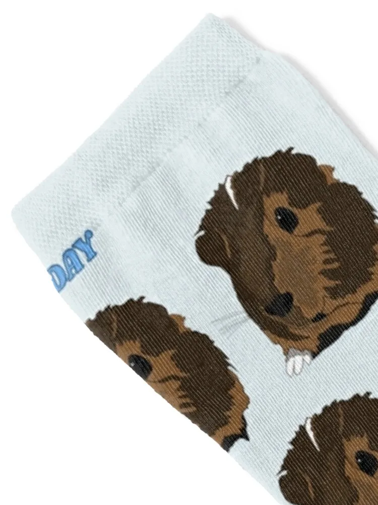 Носки с надписью Days of the Wheek морская свинка чулки мужские футбольные нескользящие