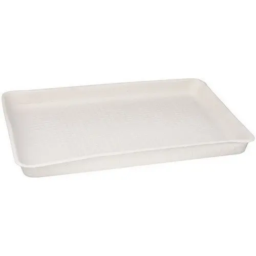 

Deluxe 250-Pack of Sturdy, Molded Fiber Food Trays Perfect for On-the-Go Meals.