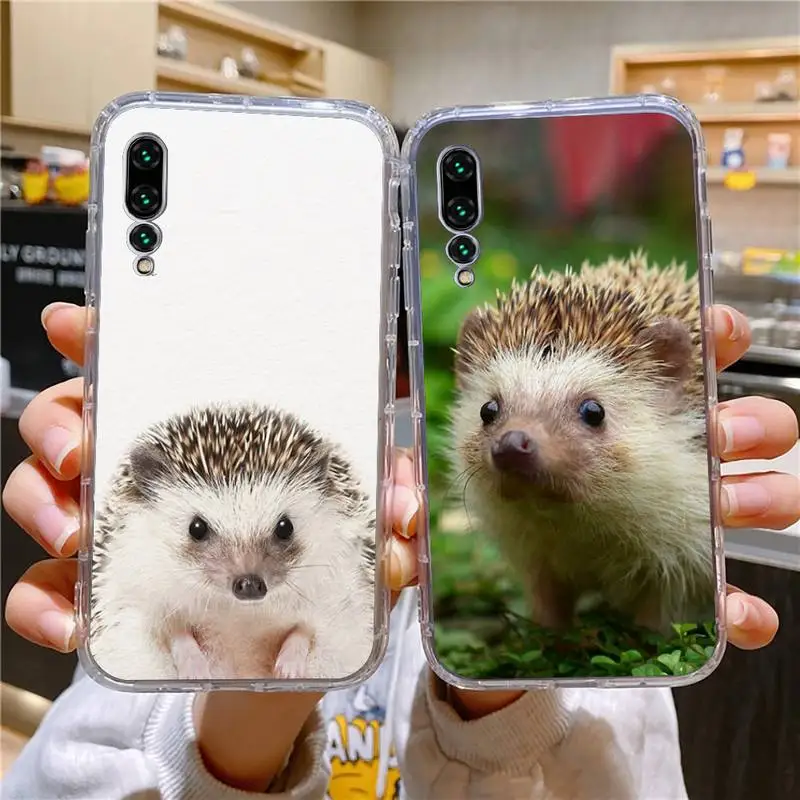 

Cute Animal Hedgehog Phone Case For Xiaomi 11 Redmi Note 11pro5G 8T 9A 9S 12S K30 10T Pro Ultra K40pro Transparent Case