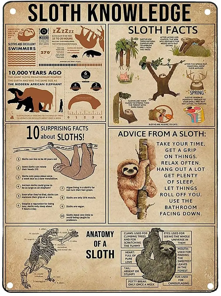 

Sloth Knowledge Metal Tin Sign Anatomy of A Sloth Infographic Poster Farm Home Kitchen Animal Wall Decoration Plaque 12x16 Inch