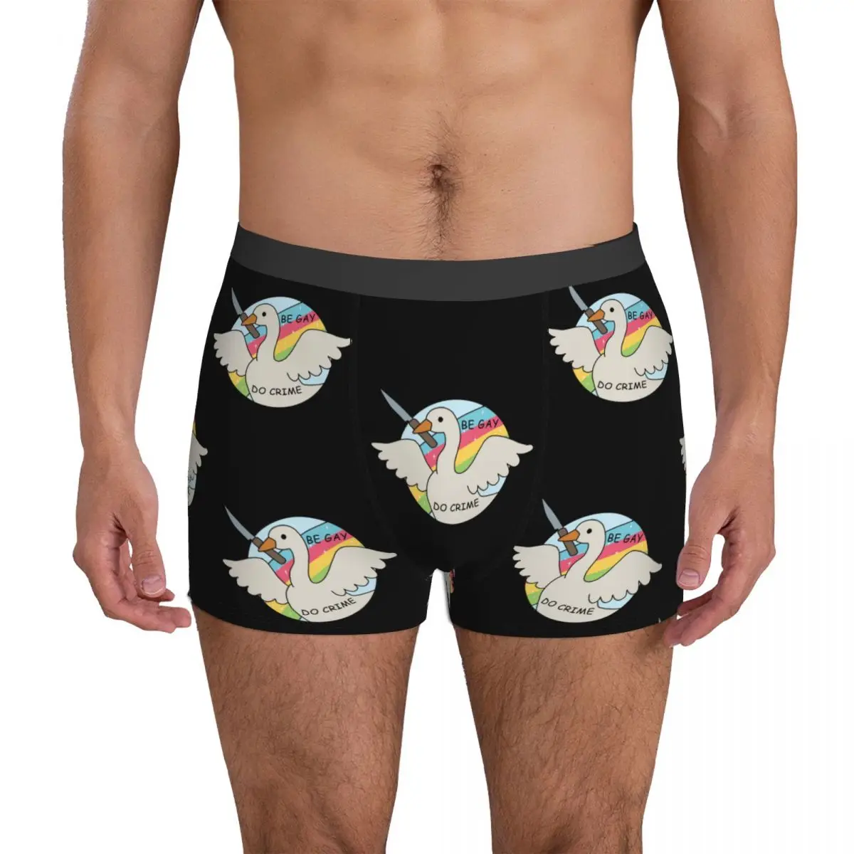 Be Gay Do Crime Goose Underwear proud gay knife rainbow Man Boxer Brief Breathable Trunk High Quality Plus Size Underpants
