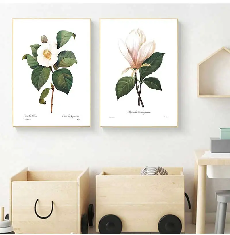 Постеры и принты розовых белых растений в цветочек ботаническая Картина на