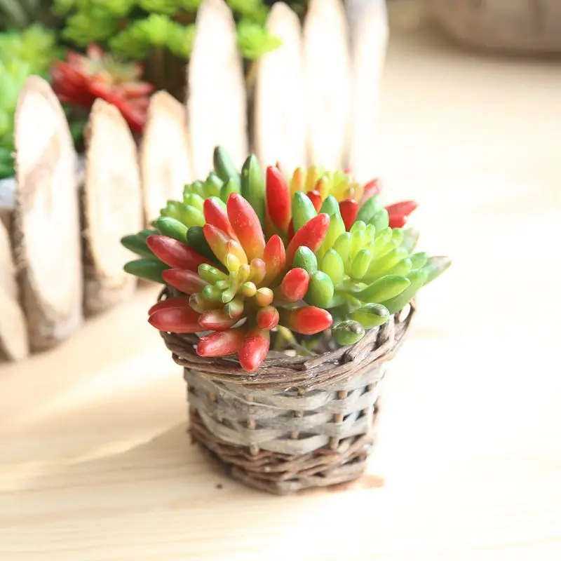 

Simulation Succulents artificial flowers ornaments mini green Artificial Succulents Plants garden decoration SF68516