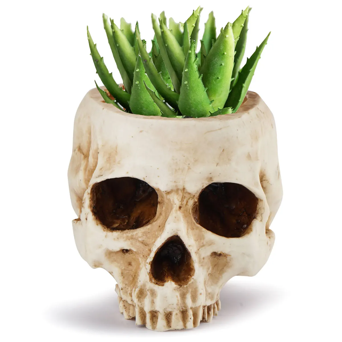 

Цветочный горшок в виде головы черепа из смолы в стиле ретро