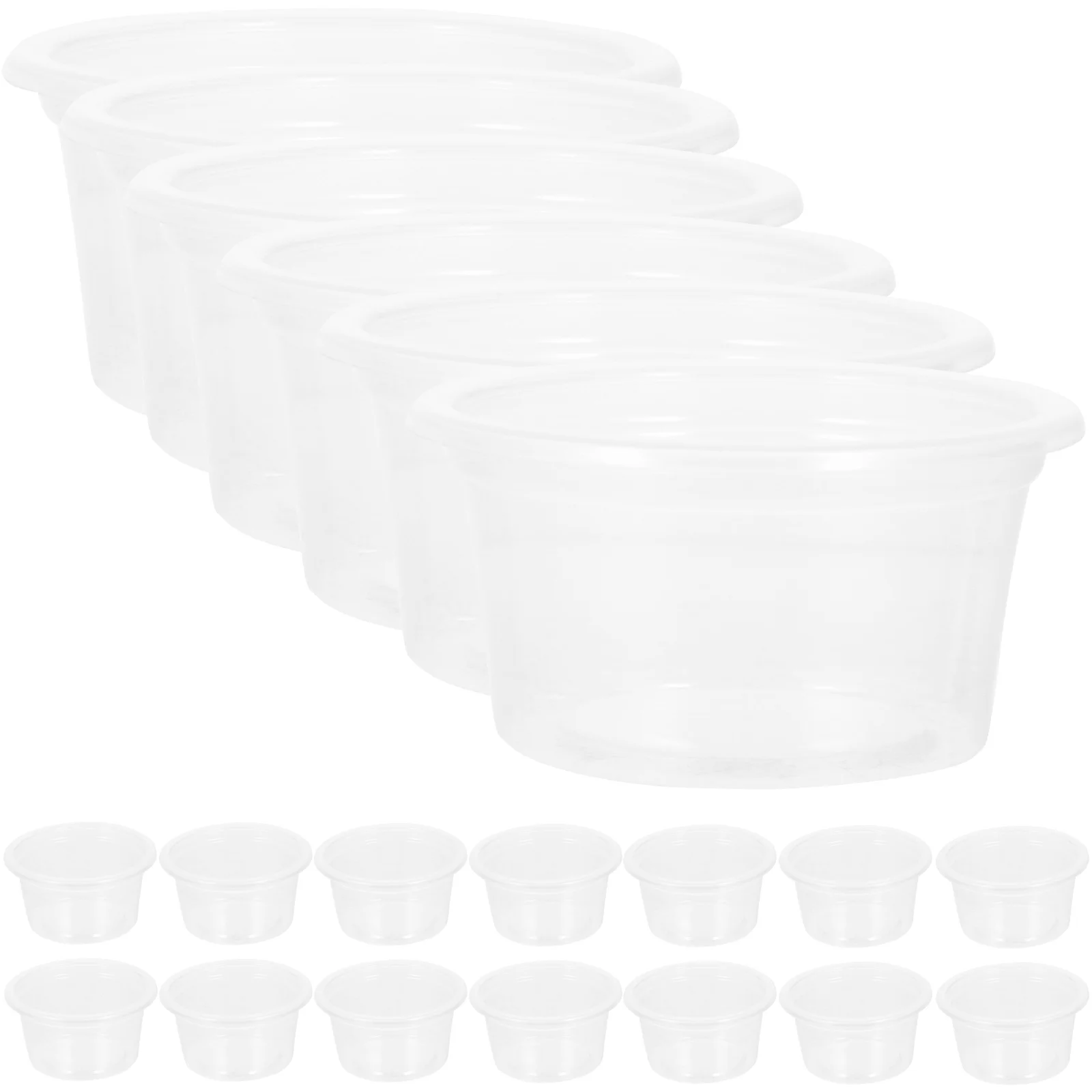 

Reptile Dish Gecko Bowl Water Cups Feeder Cup Feeding Transparent Crested Reusable Household Resistant Wear Daily Use Convenient