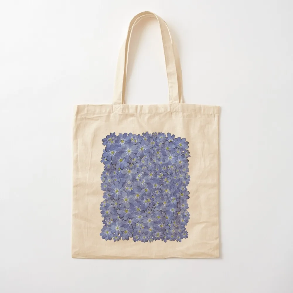 Большая сумка Hepatica 5. Симпатичная сумка. Отличная Холщовая