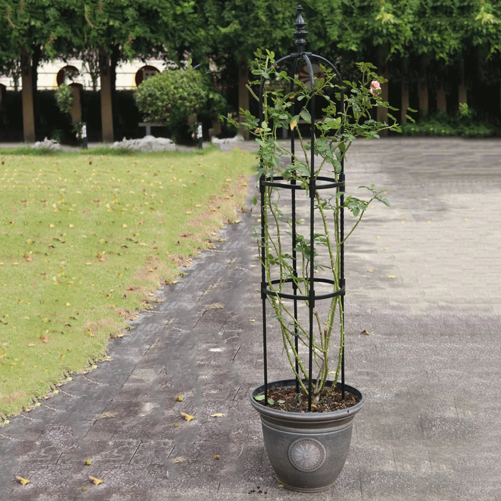 1PC Iron Garden Obelisk Climbing Plant Flowers Steel Frame Trellis Vines Floral Decor Yard Round Weather-Proof Brand