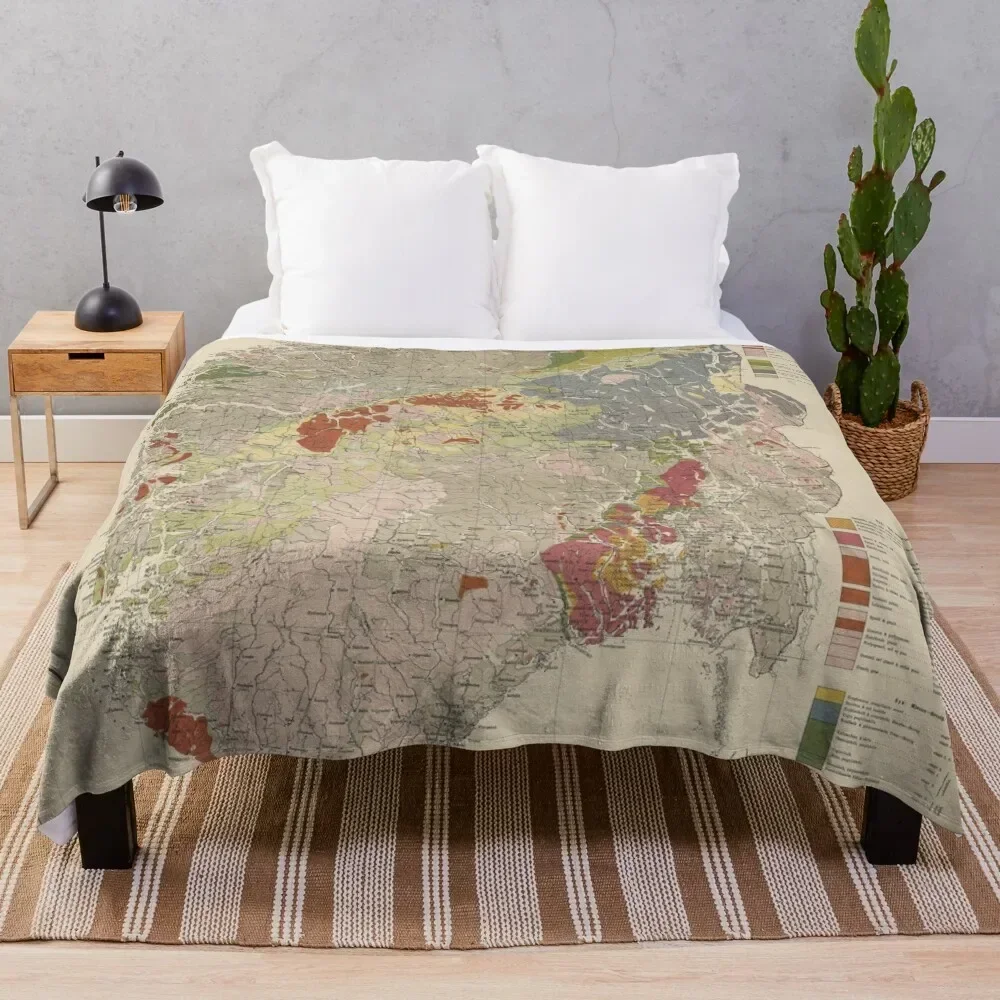 Винтажное геологическое одеяло с картой Норвегии (1878) модные роскошные брендовые