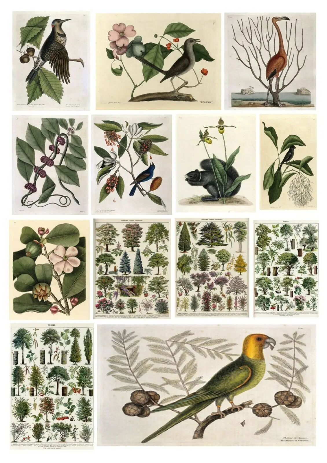 23 стиля на выбор, без рамки, ботанические цветы, дерево, розы, печать, художественный плакат на холсте для гостиной, украшение, домашняя Настенная картина