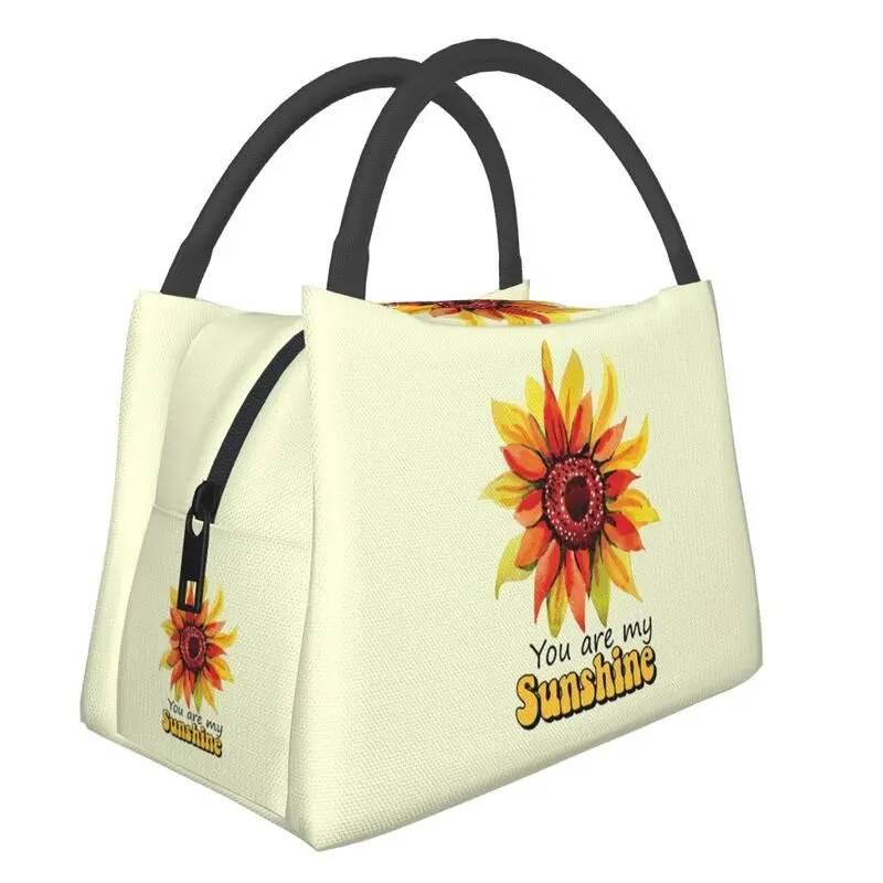 

Hand-held insulated refrigerated lunch bag is portable, stylish and simple, suitable for picnics
