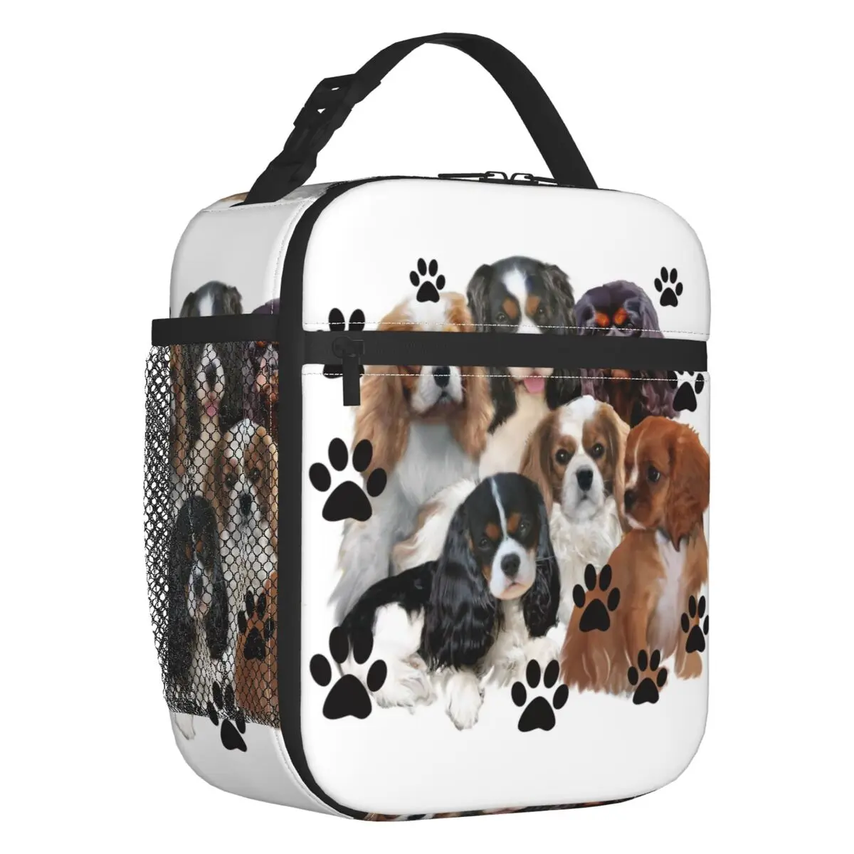 Cavalier King Charles Spaniel Portable Lunch Box Leakproof Family Group Dog Lover Thermal Cooler Food Insulated Lunch Bag Kids