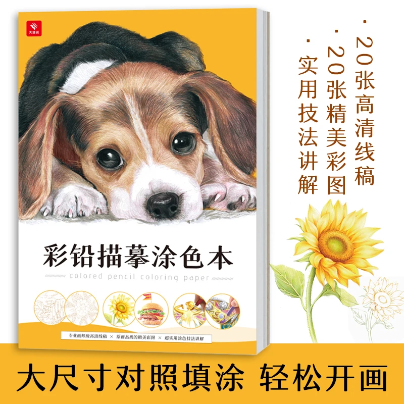 

New Animal Plant Food Series Color Pencil Tracing Painting Book Sketch Copy Album Line Draft Practice Coloring Books