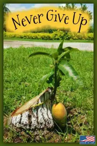 Никогда не сдавайся! Вывеска из металла Сделано в США 8 дюймов x 12 Вдохновляющие