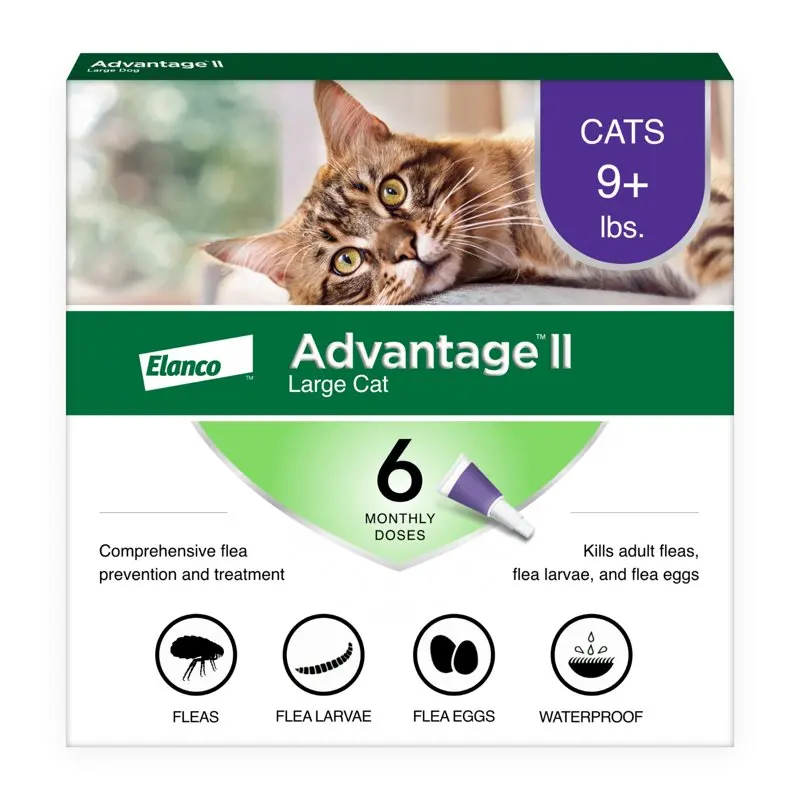 

Vet-Recommended Flea Prevention for Large Cats 9 lbs+, 6-Monthly Treatments