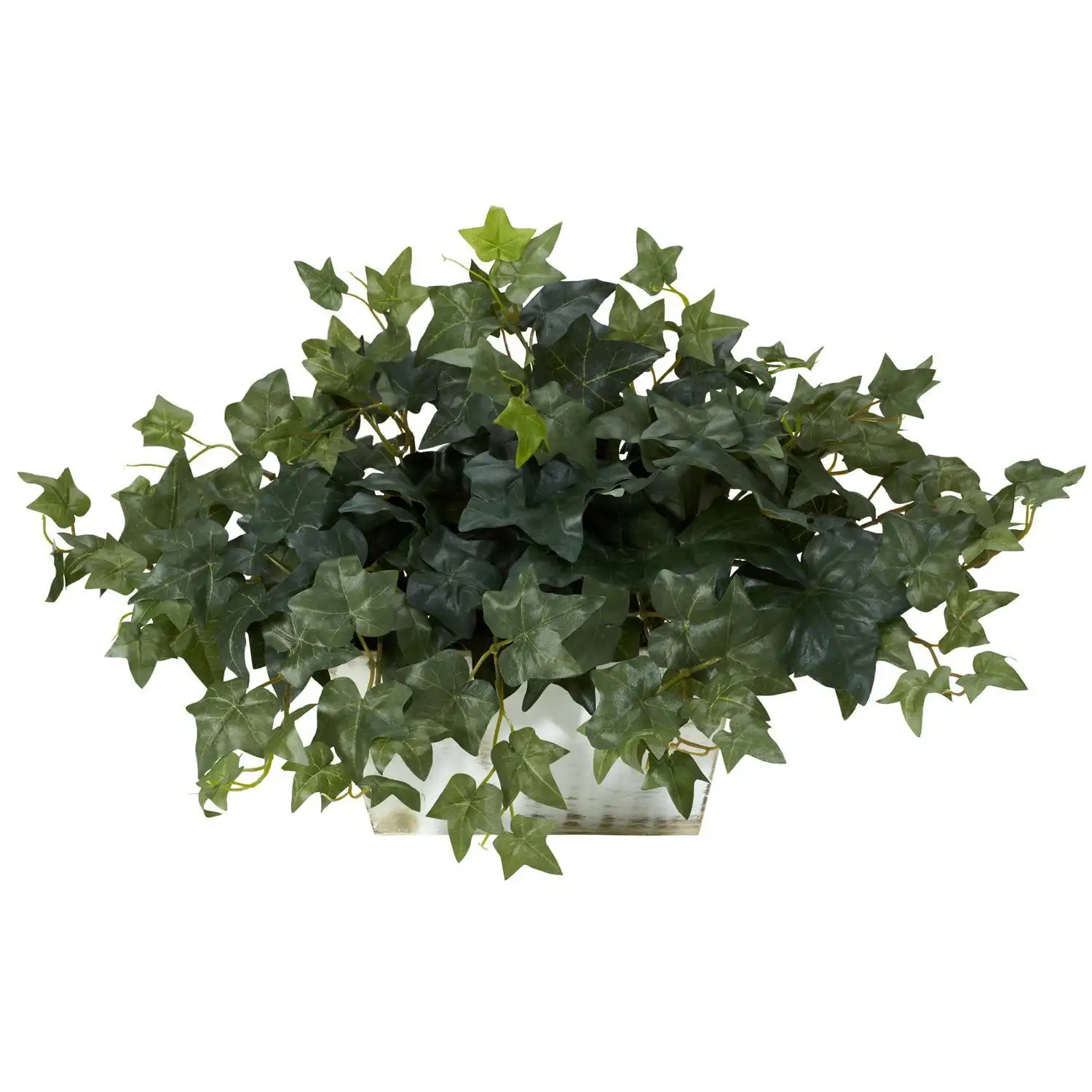 

Ivy with White Wash Planter - Silk Plant Green