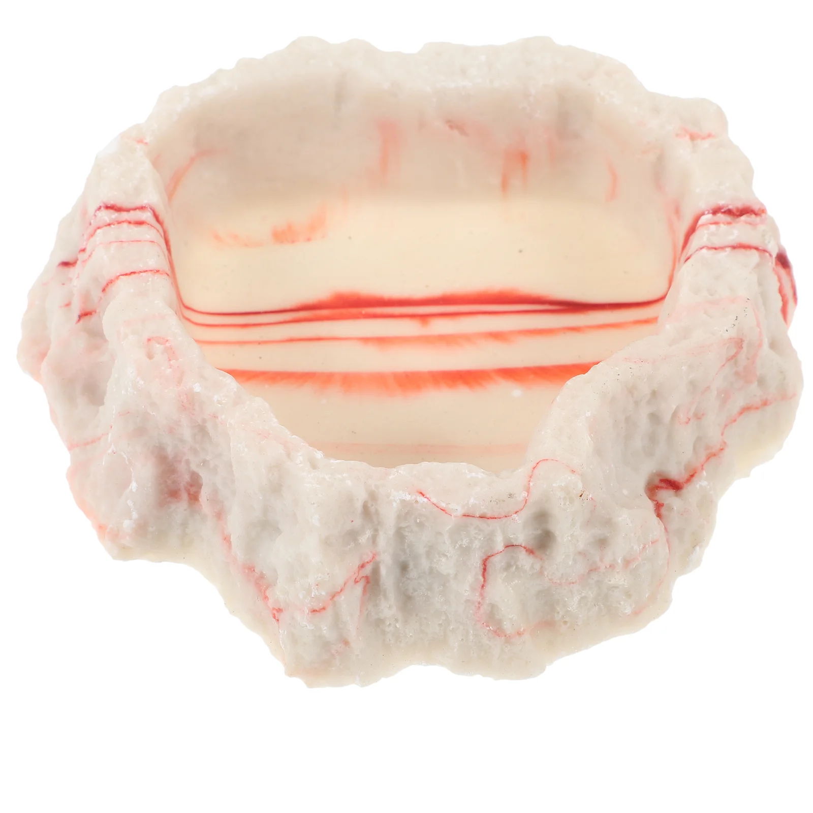 

Reptile Feeding Bowl Resin Reptile Water Dish Food Bowl Reptile Food Water Dish for Lizard Tortoise