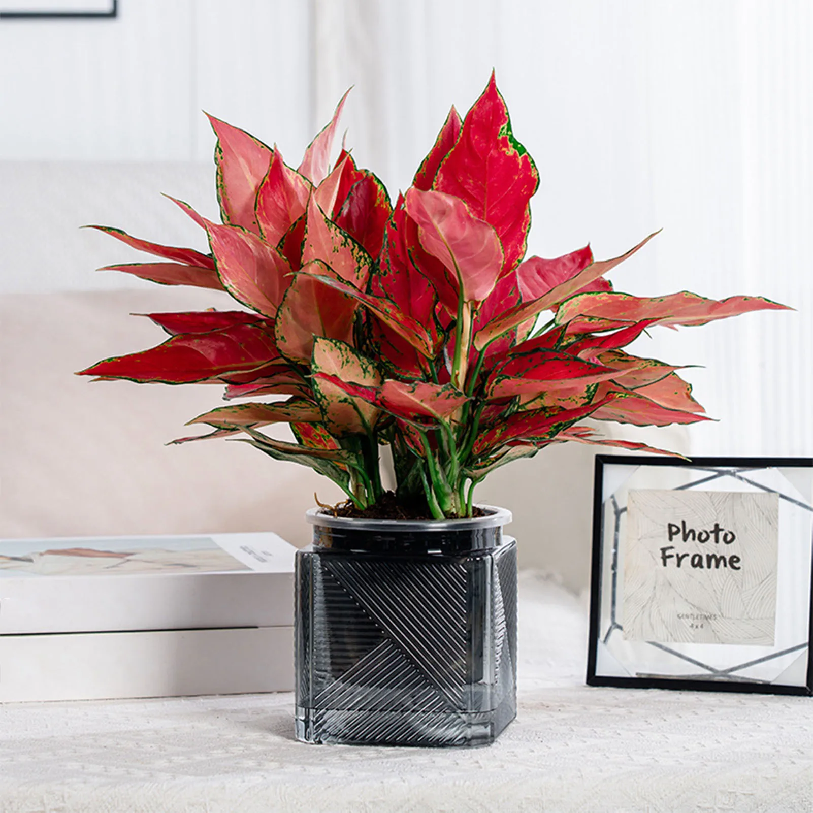 

Самополивающийся цветочный горшок CLH @ 8