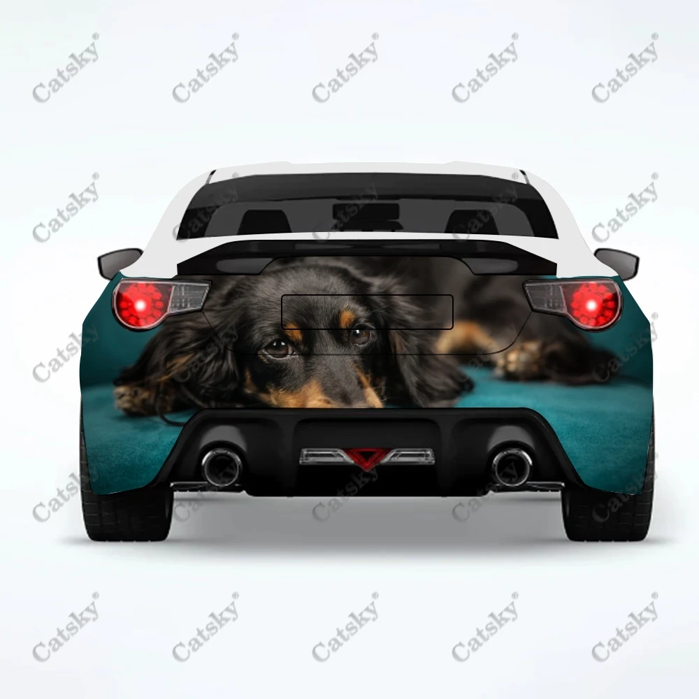 

Задняя картина для модификации грузовика «такса»