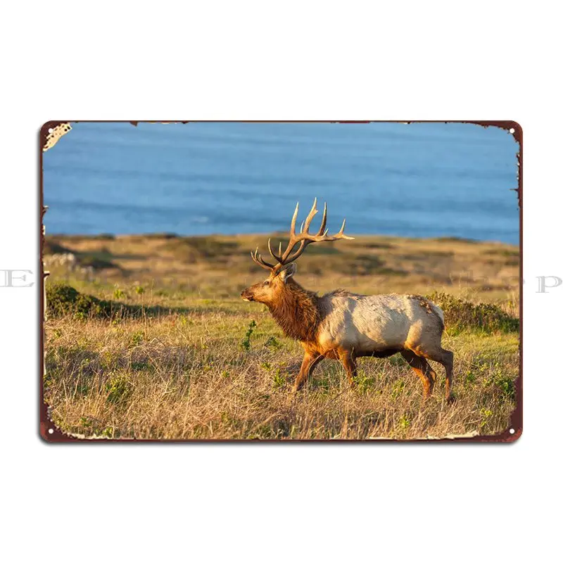 

Металлический плакат Tule Elk Bull, создание бара, пещера, Настенный декор, печатный кинотеатр, жестяной плакат