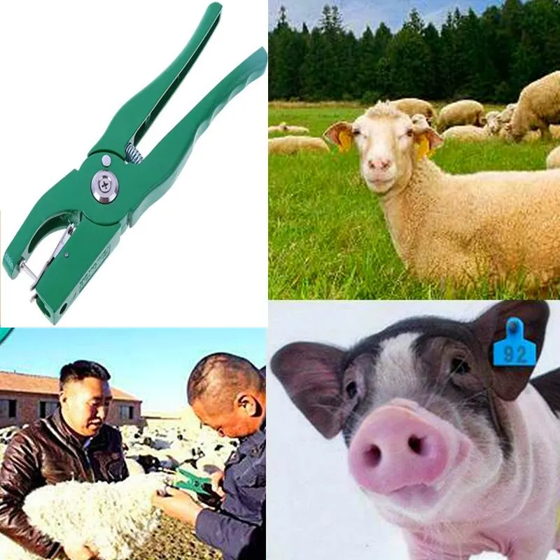 

Ear tag pliers Animal Control Device Green Metal ear thorn tongs Swine Cow Sheep Rabbit Identification tool Dropshipping