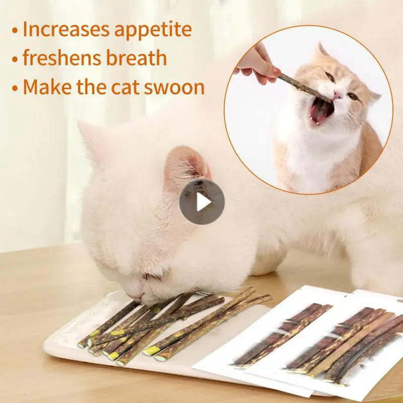 

5/10/15pcs Cat Teeth Sticks Fruit Cat Snacks Sticks Catnip Pet Cat Molar Toothpaste Rod Kitten Cleaning Teeth Toy Cat Snacks