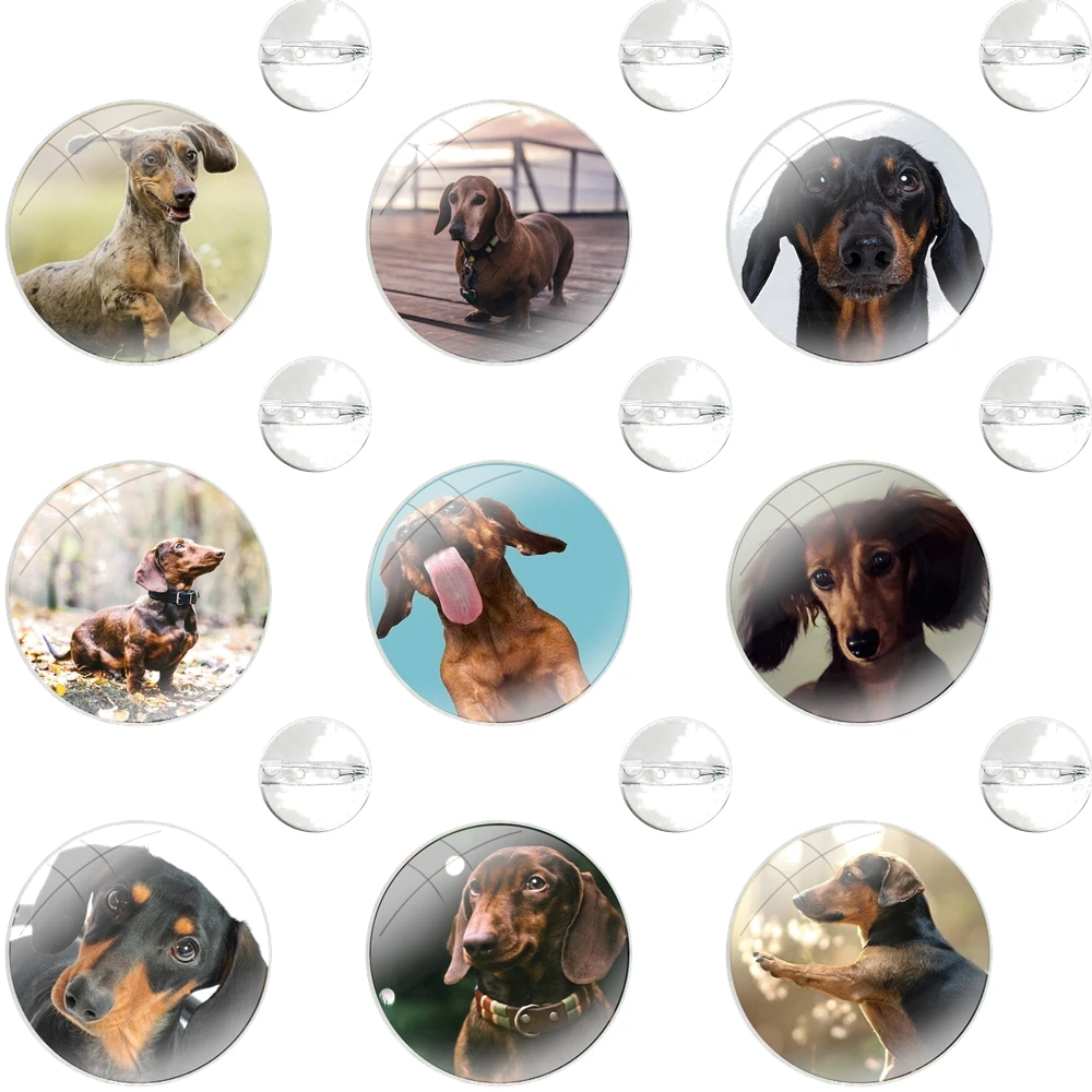 Стеклянный купол броши значки булавки для одежды шляпа рубашка сумка с лацканами