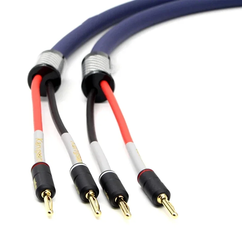 1 пара медный кабель Hi-Fi для динамиков 2 Х5 5 мм²