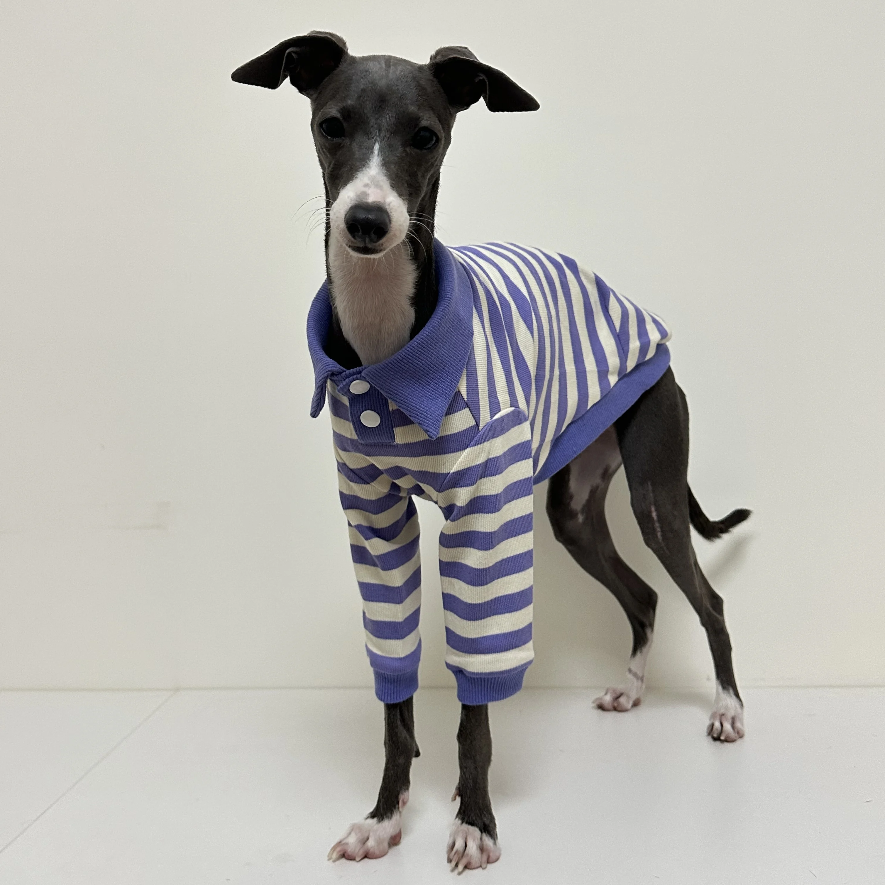 

Одежда для собак, рубашка-поло из чистого хлопка Greyhound, летнее платье, полосатая футболка для питомца, костюм для собаки, мягкий пуловер, костюм для собаки, щенка